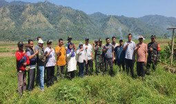 Penuhi Kebutuhan Air, Kementan Bergerak Cepat Optimalkan Masa Tanam di Kabupaten Sukabumi