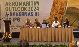 Agromaritim Outlook 2024: Sektor Agromaritim Cerah,  Butuh Strategi Jitu