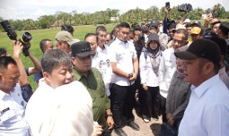 Komisi IV DPR RI Dukung Penuh Optimasi Lahan: Langkah Tegas untuk Asta Cita Presiden