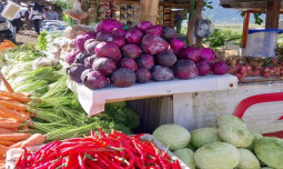 Gelar Sosialisasi Nutrition Awareness UPLAND Project Ajari KWT Kemas Produk Untuk Tingkatkan Kesejahteraan