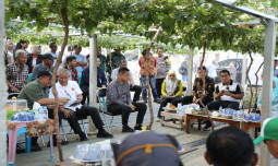 Hari Minggu, Mentan Amran Turun Tinjau Petani Anggur di Palu