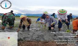 Sapa Boalemo, Kementan Lakukan Tanam Bersama dan Tinjau Lokasi Irigasi Pompanisasi