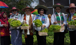 Dorong Ketahanan Pangan Berbasis Keluarga, Bidang V OASE KIM Panen Sayur Organik dan Bimtek Urban Farming