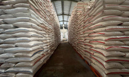 Serapan Beras Bulog Tertinggi Sepanjang Sejarah, Jawa Barat Jadi Kontributor Terbesar Nasional