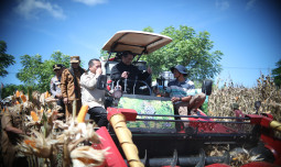 Mentan Amran Target Produksi Jagung NTB Naik Eksponensial