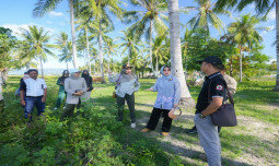 Genjot Produksi Padi, Kementan Lakukan Tanam Padi Gogo dan Uji Pompanisasi di Gorontalo