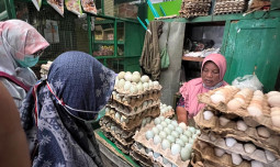 Pantau Pasar di Yogyakarta, Kementan Ungkap Harga Daging Sapi dan Ayam Stabil dan Terkendali