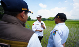 Aliran Air Jadi Kendala, Kementan Janjikan Pompa di Tuban