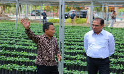 Wamentan Alim Pacu Hilirisasi untuk Dongkrak Daya Saing Perkebunan