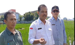 Kementan Menyiapkan Acara Gebyar Perbenihan Pangan Nasional VIII 2024