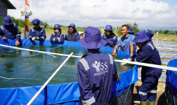 Kementan Sukses Cetak Ratusan Ribu Petani Muda