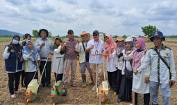 Pacu Program PAT, Kementan Gandeng Pemkab Tanah Laut Lakukan Gerakan Tanam Serentak