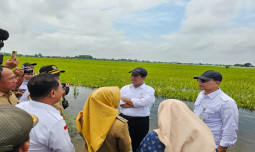Salurkan Bantuan Secara Cepat, Masyarakat Demak Sampaikan Terimakasih Kepada Mentan Amran