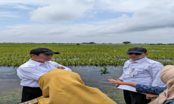 Kunjungi Korban Banjir Demak, Mentan Berikan Bantuan Benih 10.000 ha dan 30 Milliar Sarana Pertanian