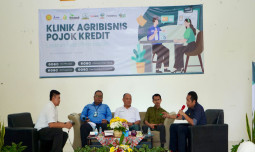 MAF TaniAkur : Klinik Agribisnis Pojok Kredit, Keberanian adalah Kunci Sukses Bisnis Pertanian