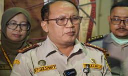 Sapi Perah Bunting Impor Telah Mendarat di Indonesia, Siap Dukung Program Makan Bergizi