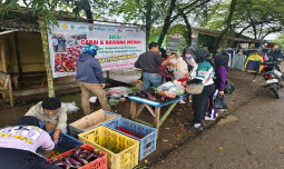 Champion Kementan Gelar Aksi Cabai dan Bawang Harga Terjangkau Amankan Nataru