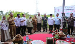 Wamentan Sudaryono Dorong Optimasi Lahan Rawa Capai 106 Ribu Hektar Dan 150 ribu Hektar Cetak Sawah Baru di Sumsel