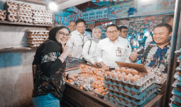 Momentum Hari Telur Dunia, Kementan Perluas Pangsa Pasar Unggas Tujuan Ekspor