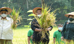 Kementan Gelar Gebyar Agrostandar Selama 3 Hari di Bogor