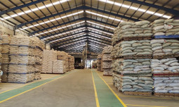 GPMT: Rencana Pabrik Pakan Baru Dongkrak Kemajuan Industri Perunggasan Nasional!