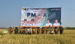 Produktivitas Padi Tembus 10,43 Ton/Ha, PM-AAS Buktikan Modernisasi Pertanian Tingkatkan Hasil Panen
