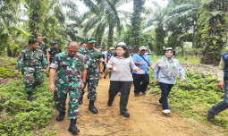 Sinergi Kementan dan Korem Garuda Emas, Optimasi 600 Hektar Lahan Padi Kabupaten Seluma