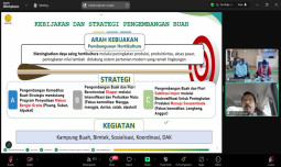 Tingkatkan Produktivitas dan Kualitas, Lewat MSPP Kementan Jabarkan Inovasi Budidaya Buah Tropis