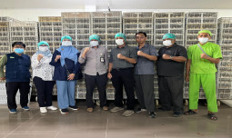 Kementan Pantau Produksi DOC Broiler untuk Jaga Stabilitas Harga Ayam