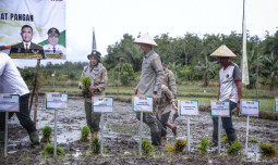 Kementan Hidupkan Lahan Potensial di Babel Melalui Perluasan Areal Tanam