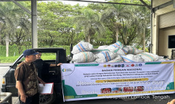 Mobilisasi Cabai Enrekang ke NTB, Bapanas Turun Tangan Redam Lonjakan Harga