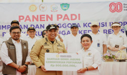 Kementan dan Komisi IV DPR RI Dorong Maros Jadi Penggerak Pertanian Sulsel