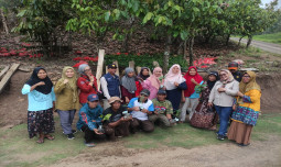 Dorong Produksi Kopi, Kementan Bagikan 200 Ribu Benih Kopi Gratis ke Petani Luwu