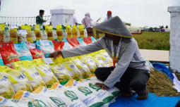 Jelang Ramadan dan Idulfitri, Ketersediaan Pangan Pokok Strategis Aman dan Mencukupi