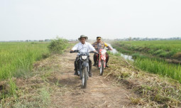 Mentan Amran Dongkrak Produksi di Kalsel Dengan Optimasi Lahan Rawa