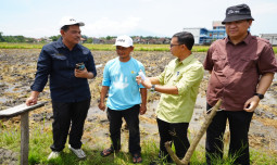 Kementan Pastikan Produksi Beras Nasional Tetap Aman