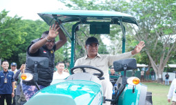 Menyala! Petani Milenial Merauke Raup Pendapatan 15-20 Juta Per Bulan