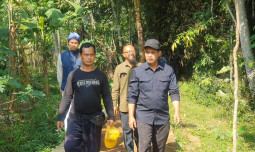 Dukungan Kementan untuk Memacu Produktivitas Padi saat MT III 