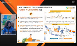 Deflasi Beras 0,59% Terdalam Sejak Juni 2024, Harga Beras Terus Turun