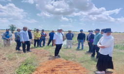 Dongkrak Produktivitas, Kementan Monitoring Program PAT Kabupaten Tanah Laut