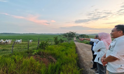 Rahasia Kecil Dari Sembawa, Bikin Balai Kementan Ini Diakui Kualitasnya