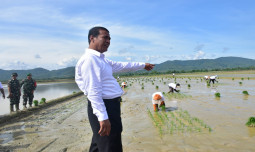 Dorong Indonesia Jadi Lumbung Pangan Dunia, Mentan Amran Percepat Tanam Padi di Sulawesi Tenggara
