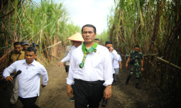 Mentan Amran Bebarkan 6 Strategi Kunci Capai Swasembada Gula Nasional