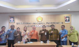 Miliki Lahan Potensial, Kementan Optimis Pemprov Sulteng Siap Jadi Produsen Susu Nasional