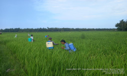 Antisipasi WBC Meluas, Kementan Giatkan Gerdal di DIY