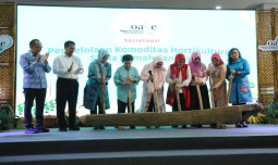 Gubernur Sulsel Apresiasi Kinerja Mentan Amran Tambah Pupuk Subsidi Hingga Masifnya Pompanisasi