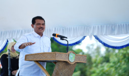 Kementan Lakukan Percepatan Tanam di Pulang Pisau, Optimis Produktivitas Terus Meningkat