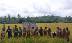 Petani Sinjai Harapkan Bulog Serap Gabah Sesuai Ketetapan HPP Pemerintah