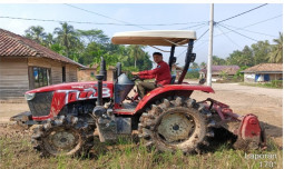 Dari Lahan Rawa Banyuasin, Kementan Tumbuhkan Wirausaha Muda Pertanian