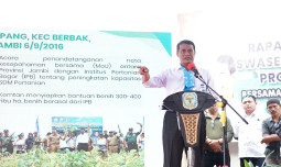 Mentan Amran Dorong Produksi Padi Jambi, Target Ekspor ke Negara Tetangga